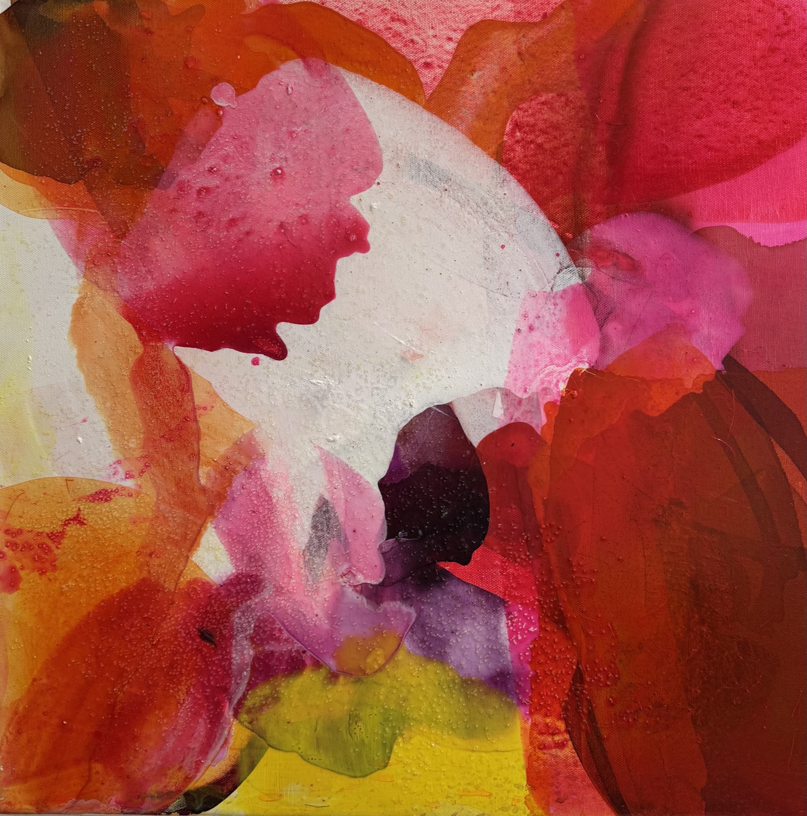 Flora II